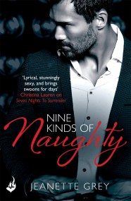 Nine Kinds Of Naughty: Art of Passion 3