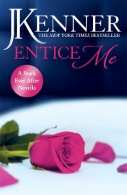 Entice Me: A Stark Ever After Novella